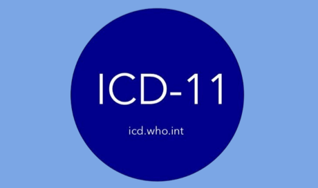 Image describing feature: ICD-11 API syncronization