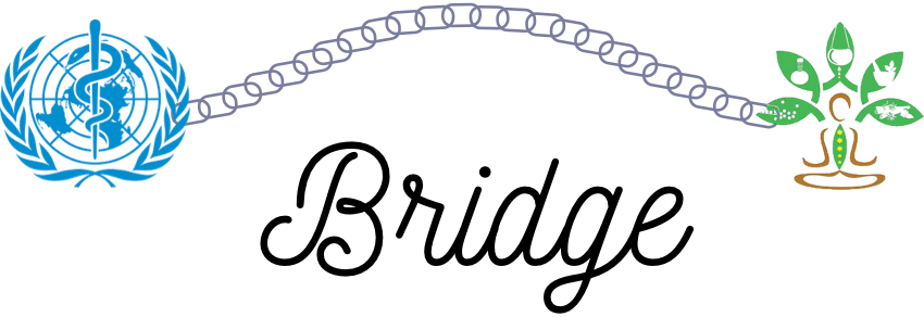 NAMASTE Bridge onboarding logo