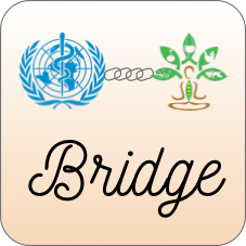 NAMASTE Bridge logo