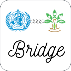 NAMASTE Bridge logo